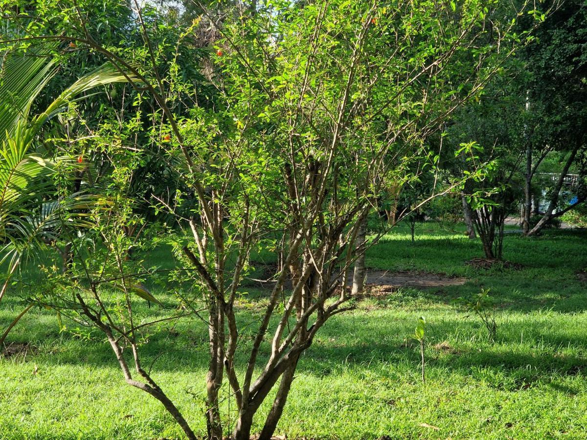 Sigiriya Cottage Dış mekan fotoğraf