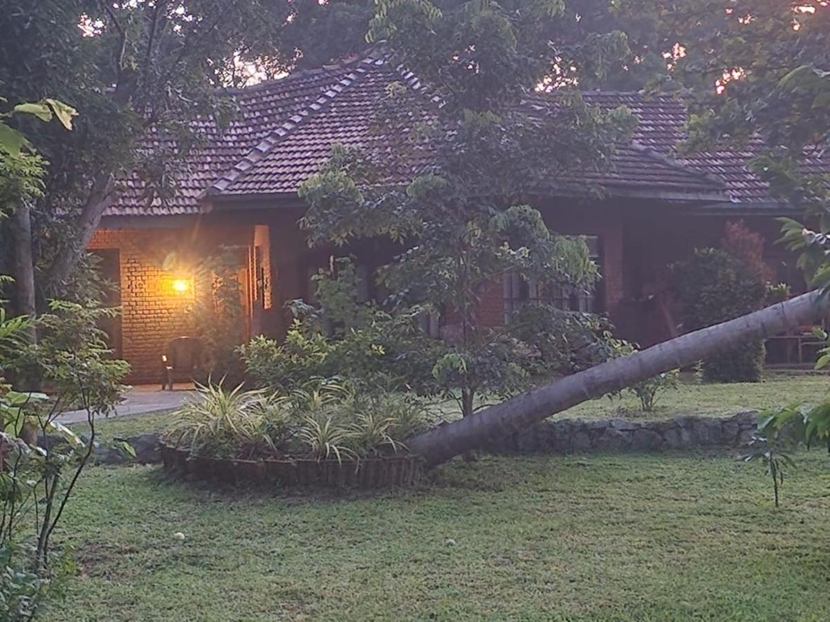 Sigiriya Cottage Dış mekan fotoğraf