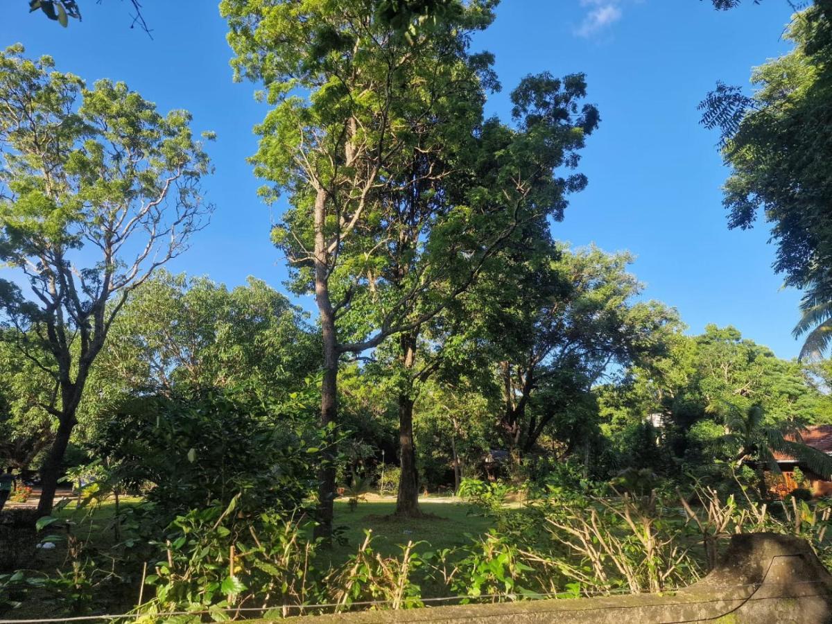 Sigiriya Cottage Dış mekan fotoğraf
