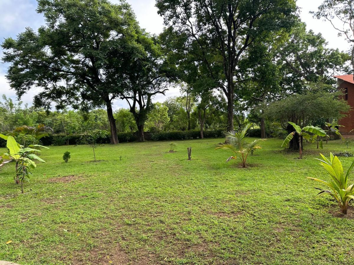 Sigiriya Cottage Dış mekan fotoğraf