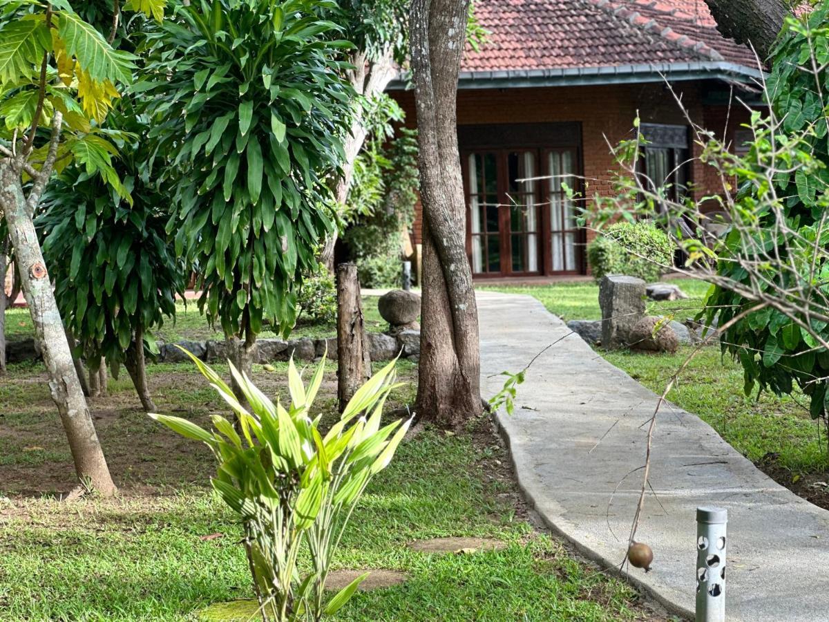 Sigiriya Cottage Dış mekan fotoğraf