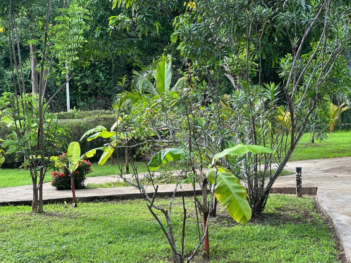Sigiriya Cottage Dış mekan fotoğraf