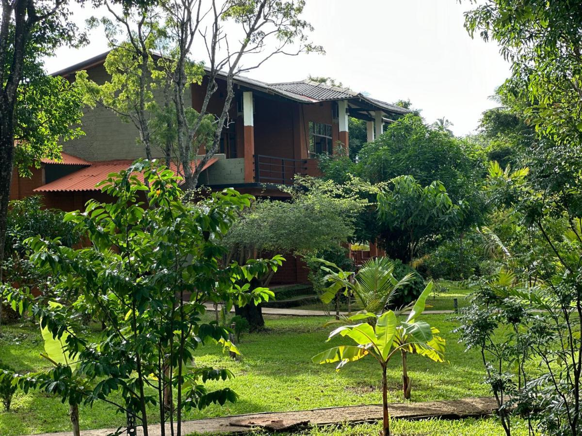 Sigiriya Cottage Dış mekan fotoğraf