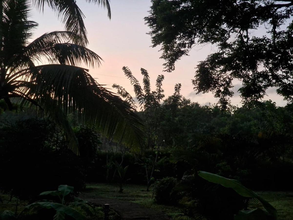 Sigiriya Cottage Dış mekan fotoğraf