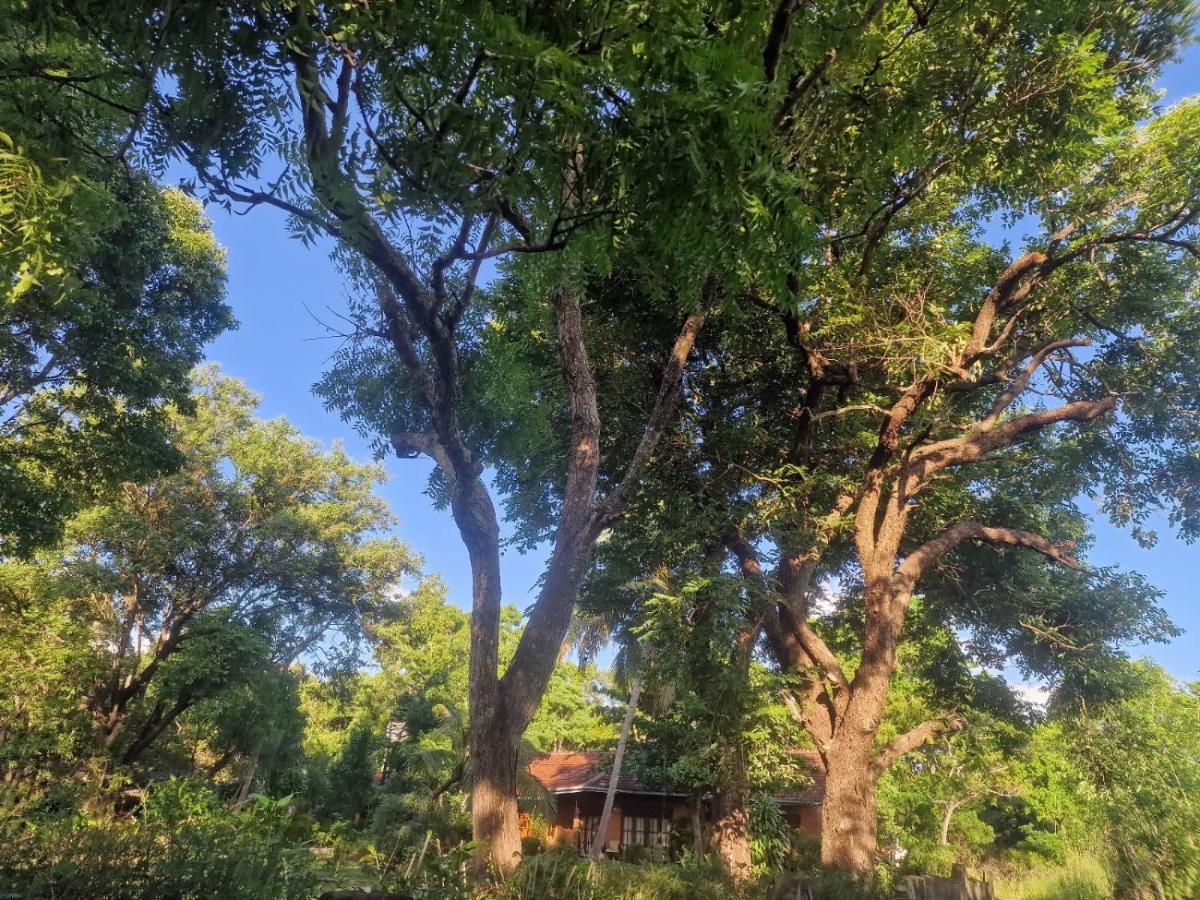Sigiriya Cottage Dış mekan fotoğraf
