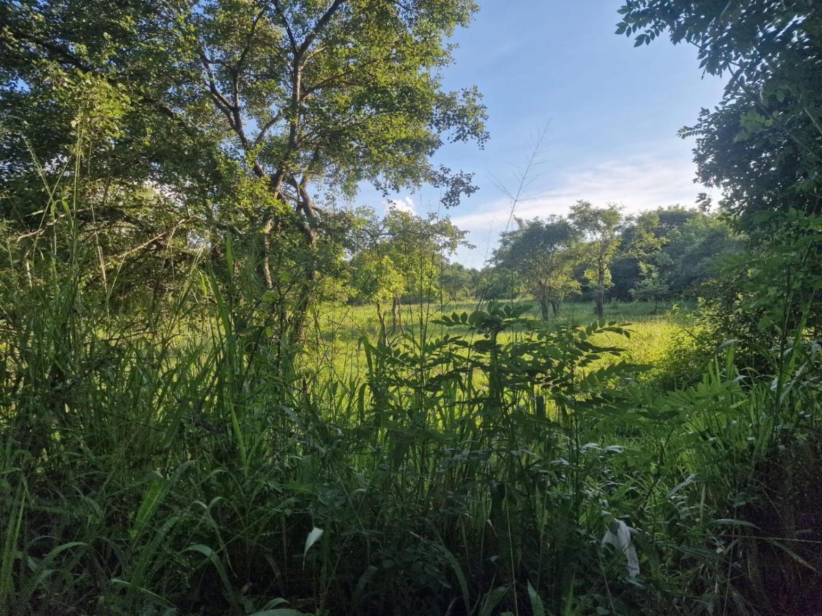 Sigiriya Cottage Dış mekan fotoğraf