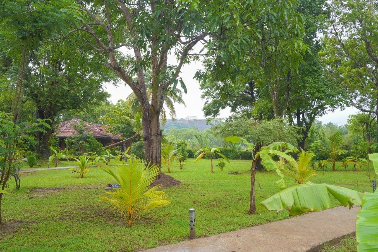 Sigiriya Cottage Dış mekan fotoğraf