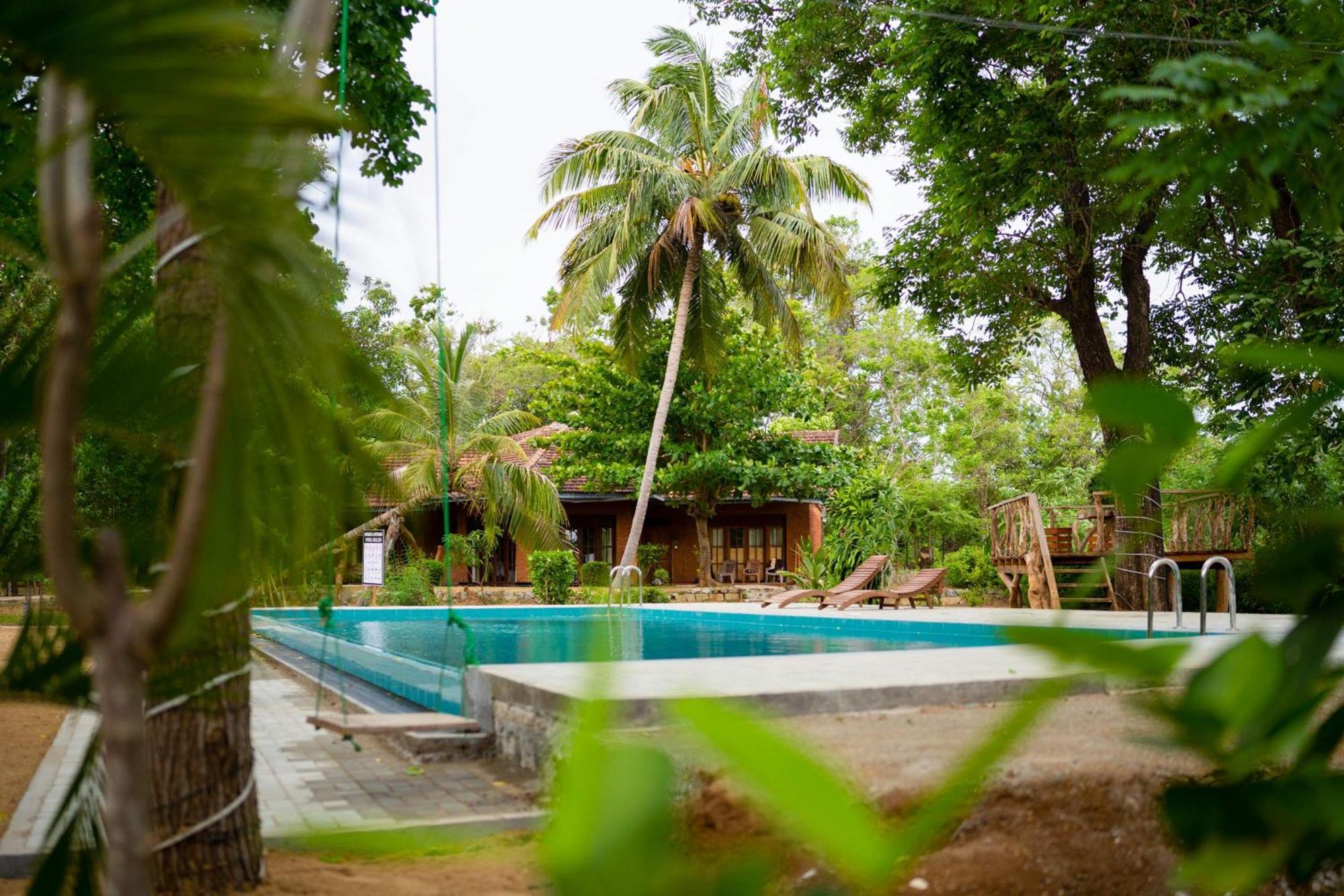 Sigiriya Cottage Dış mekan fotoğraf