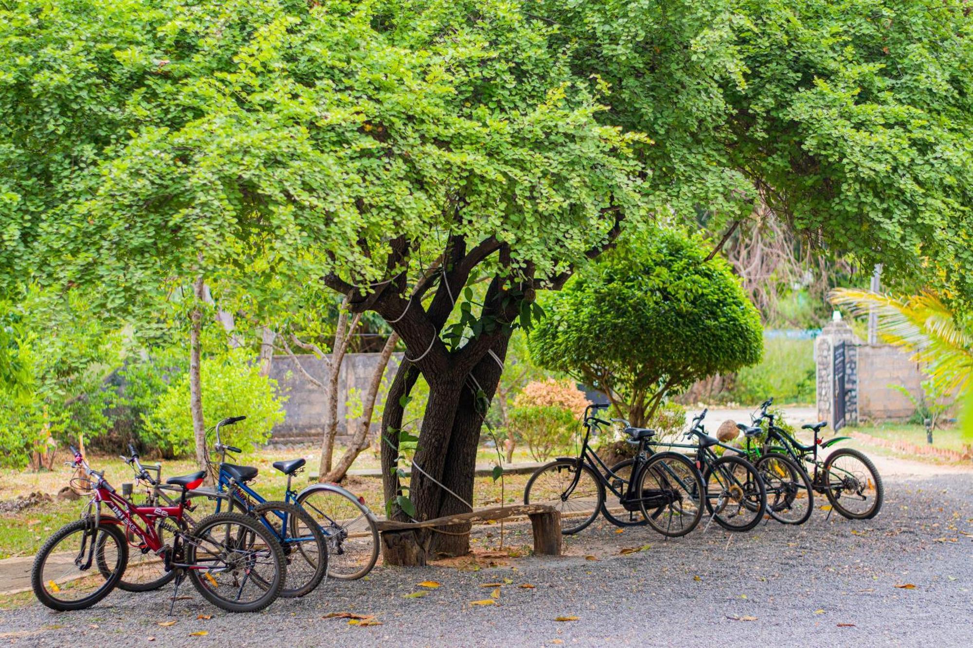 Sigiriya Cottage Dış mekan fotoğraf